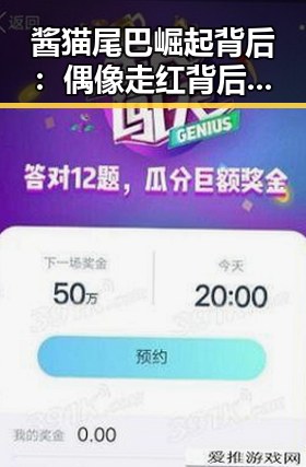 酱猫尾巴崛起背后:偶像走红背后的文化与商业逻辑