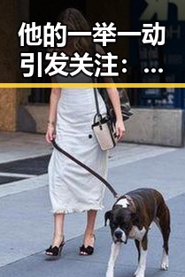 他的一举一动引发关注：娱乐圈“渣男”背后的人性变迁