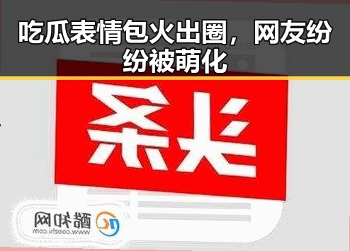 吃瓜表情包火出圈，网友纷纷被萌化
